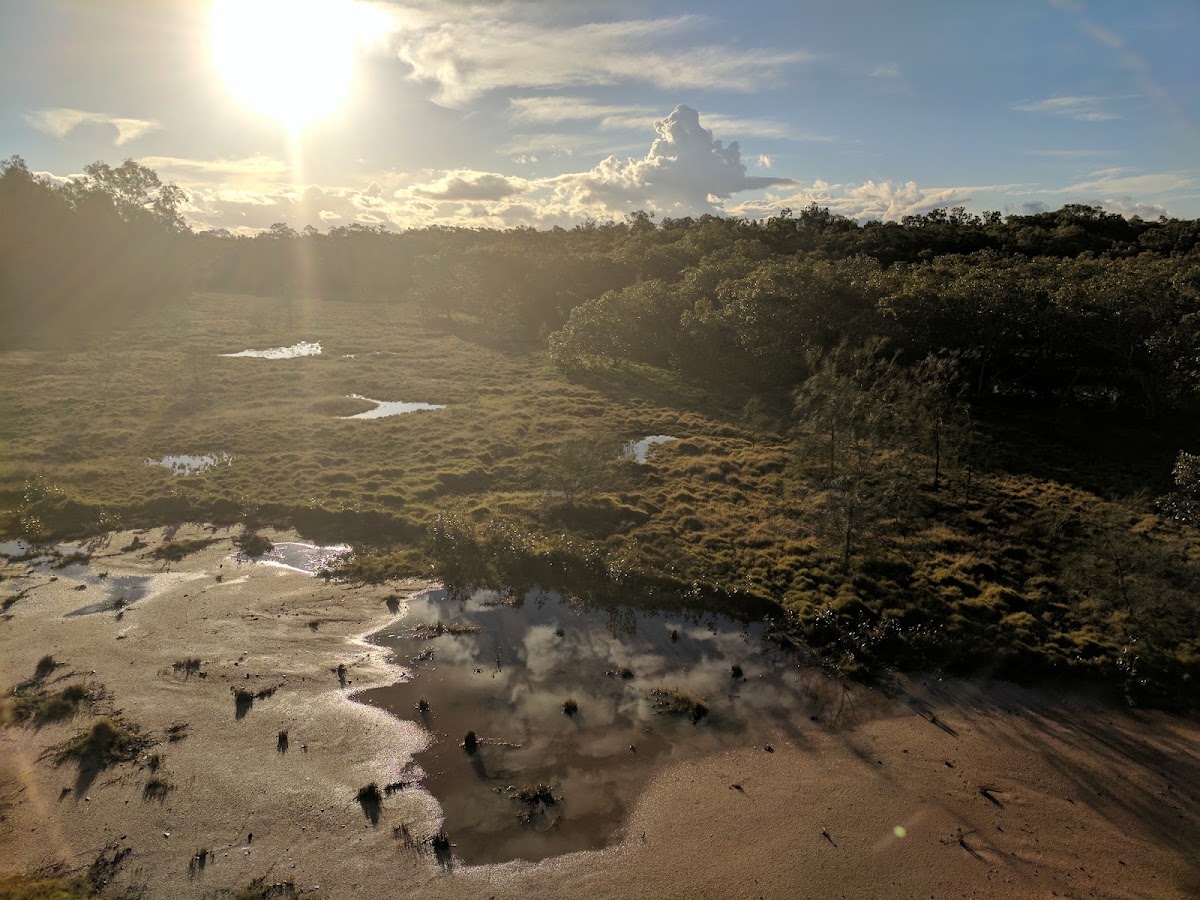 Hays Inlet Conservation Park 2