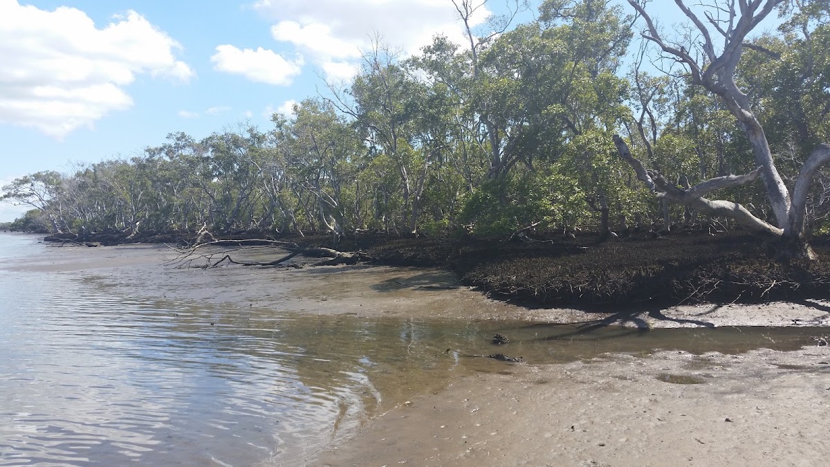 Hays Inlet Conservation Park 2