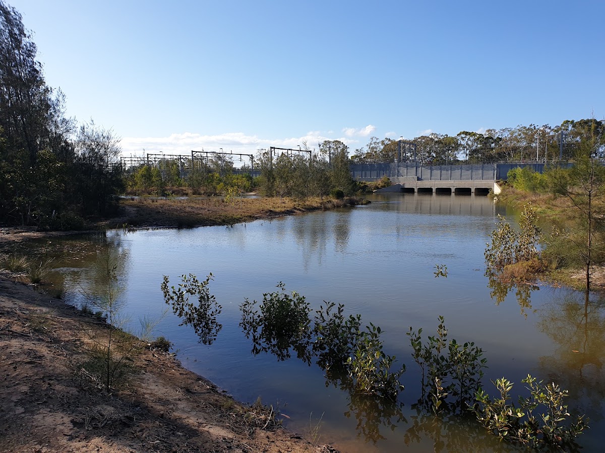 Hays Inlet Conservation Park 2
