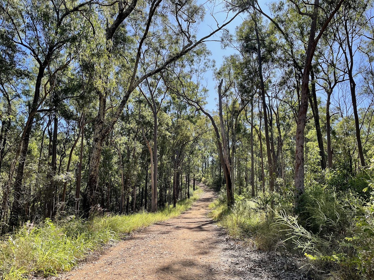 Moggill Conservation Park