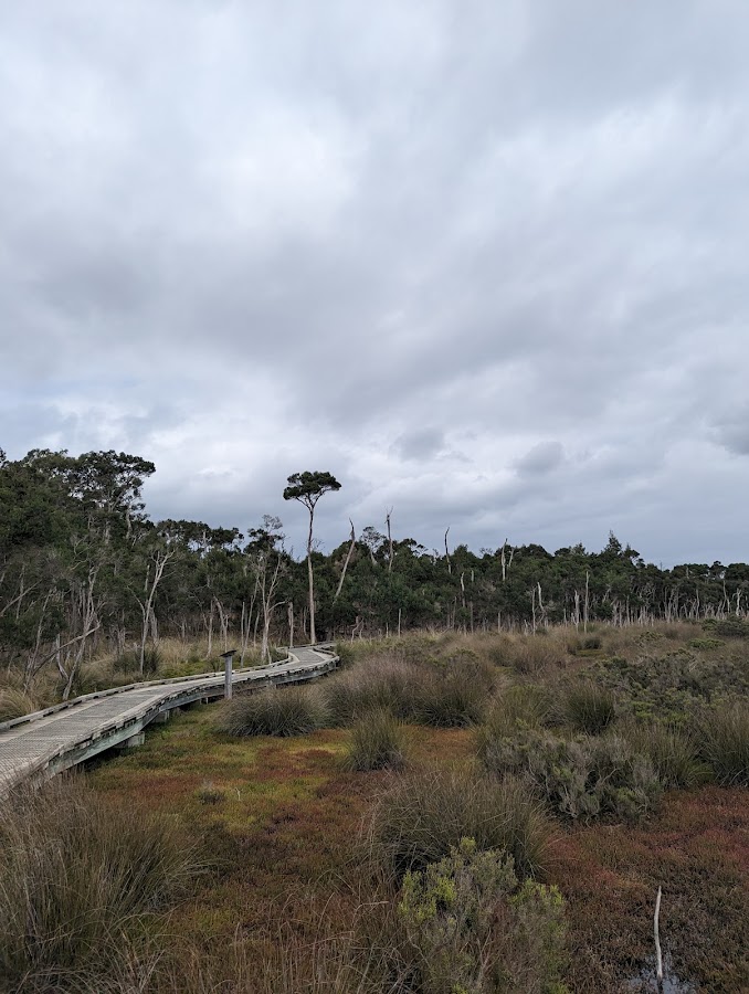 Conservation Hill