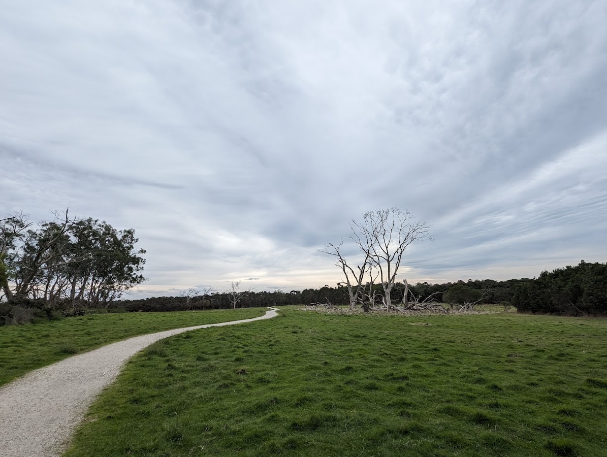 Conservation Hill