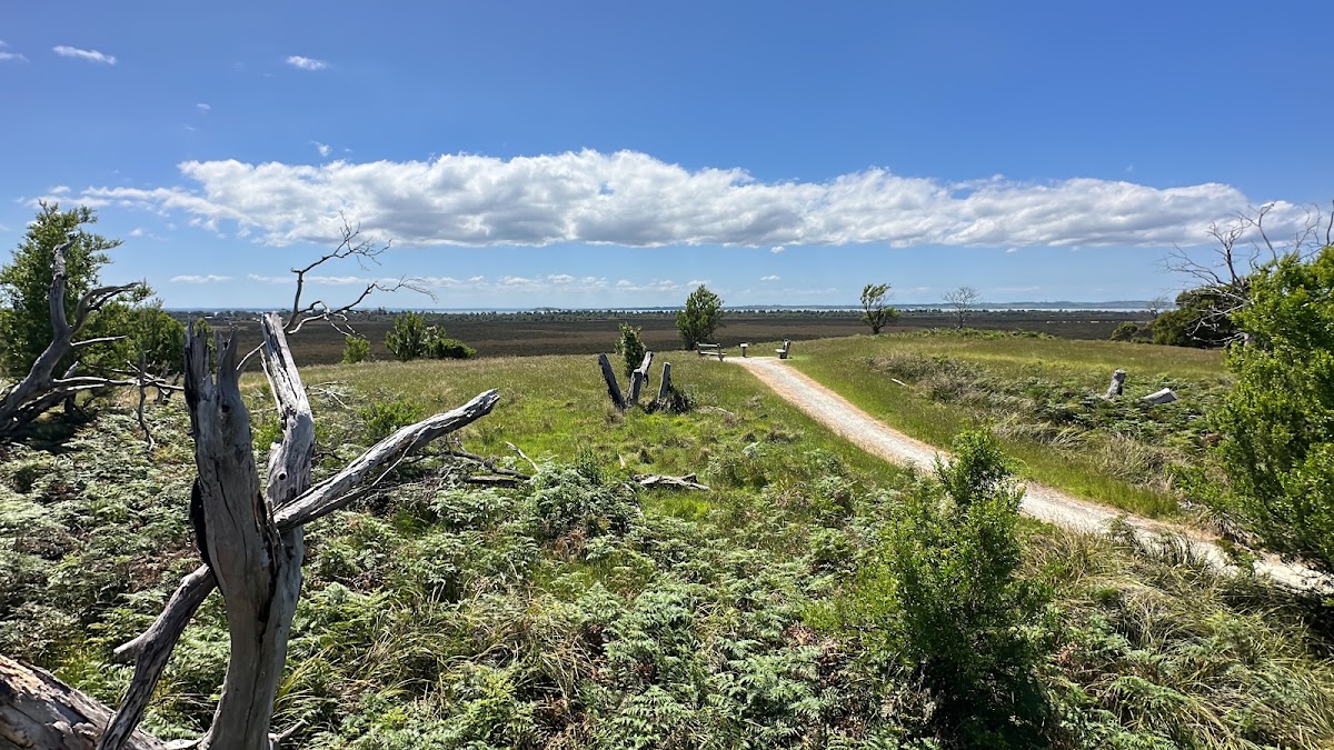Conservation Hill