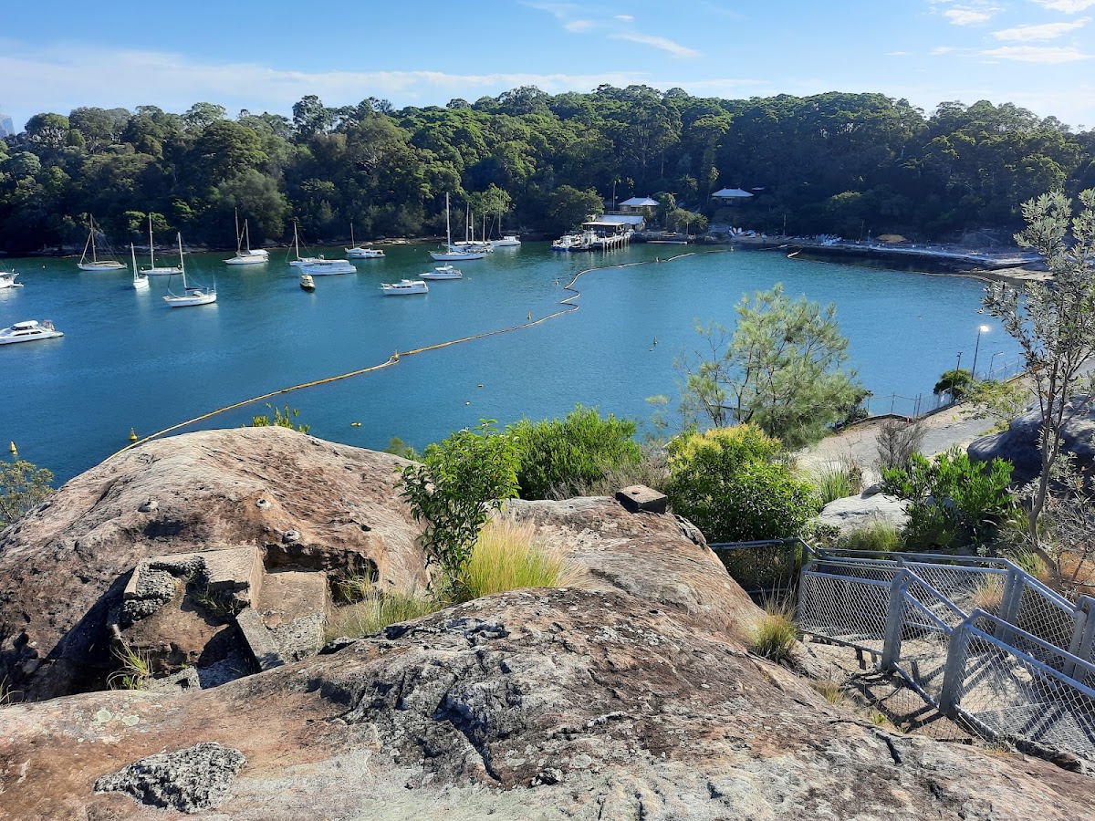 Berrys Bay Lookout