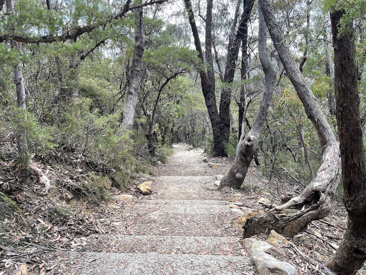 Victoria Lookout