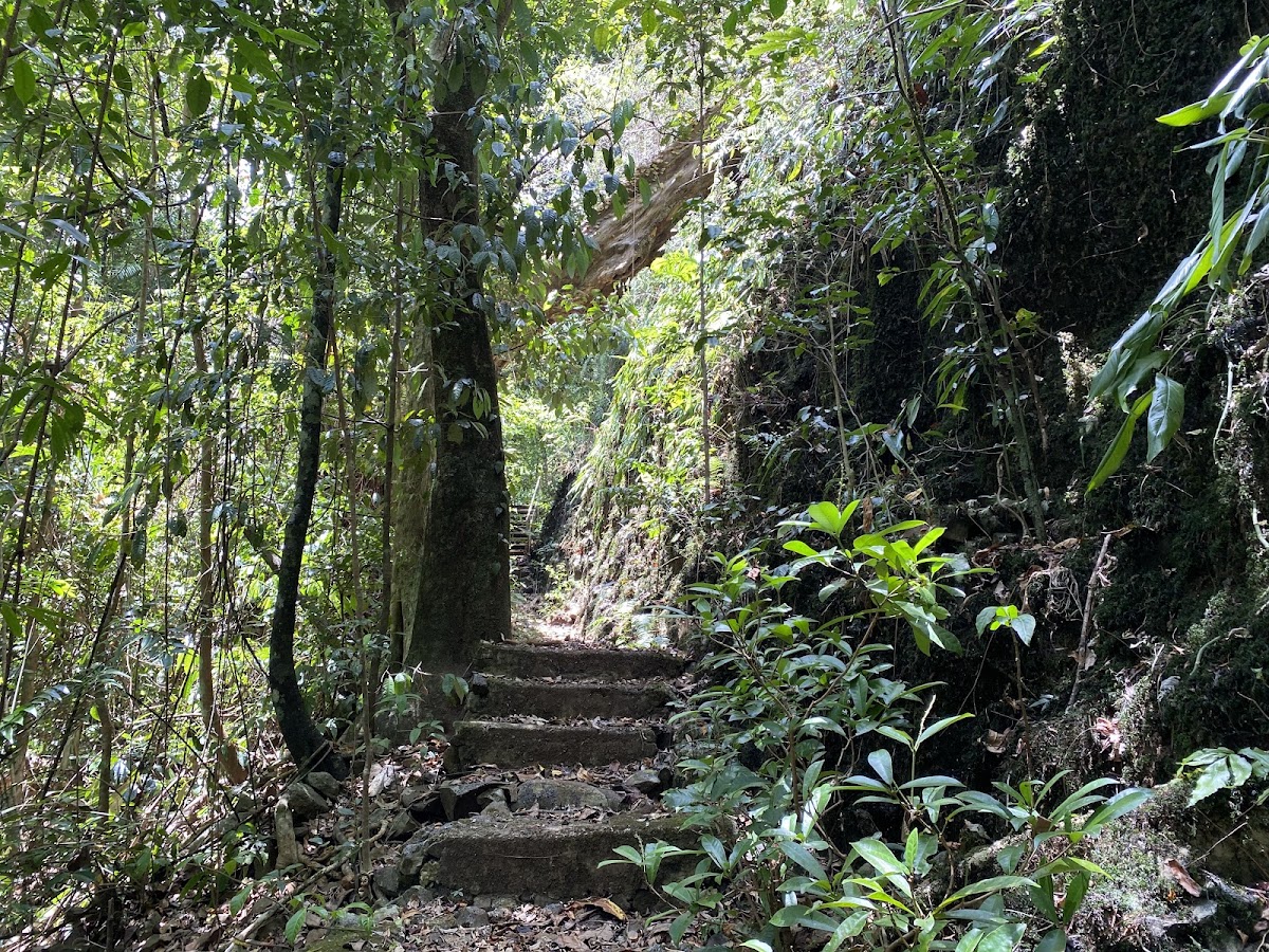Crawford Lookout