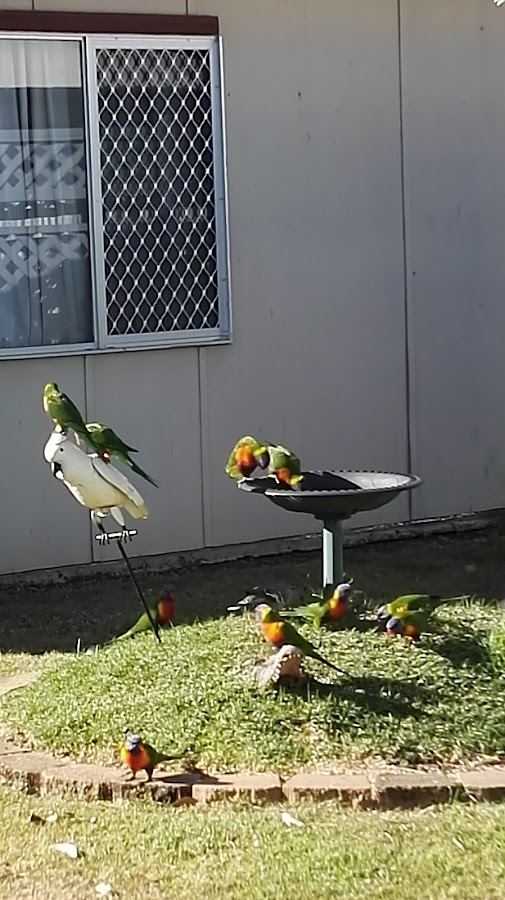 Browns Caravan Park
