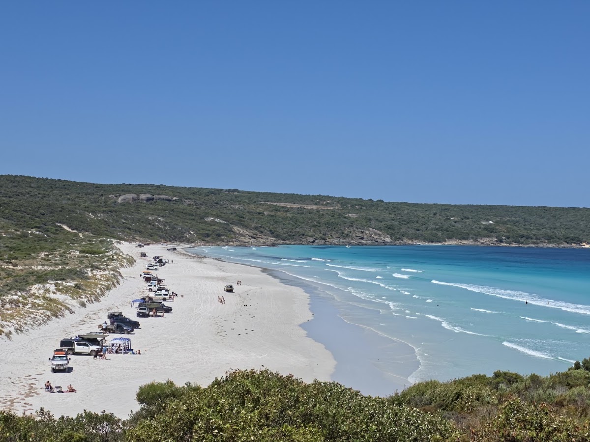 Blossoms Beach Track
