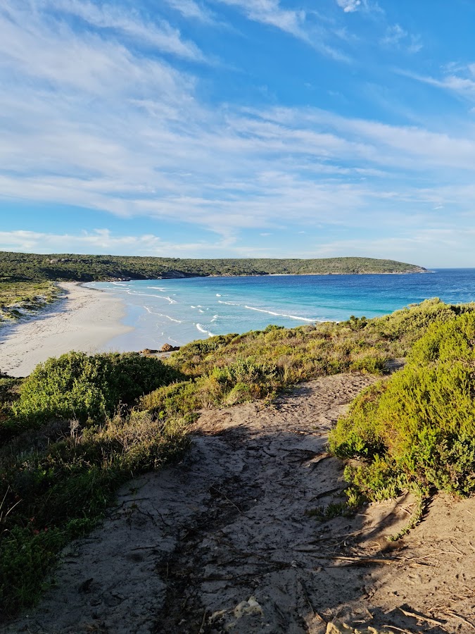 Blossoms Beach Track