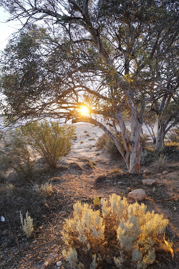 Southern Hills Rest Area