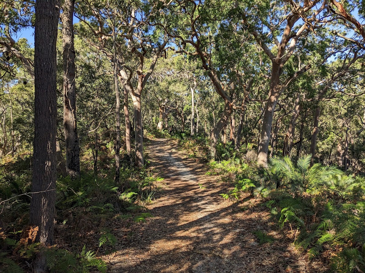 Wyrrabalong National Park