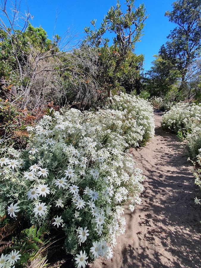 Wyrrabalong National Park