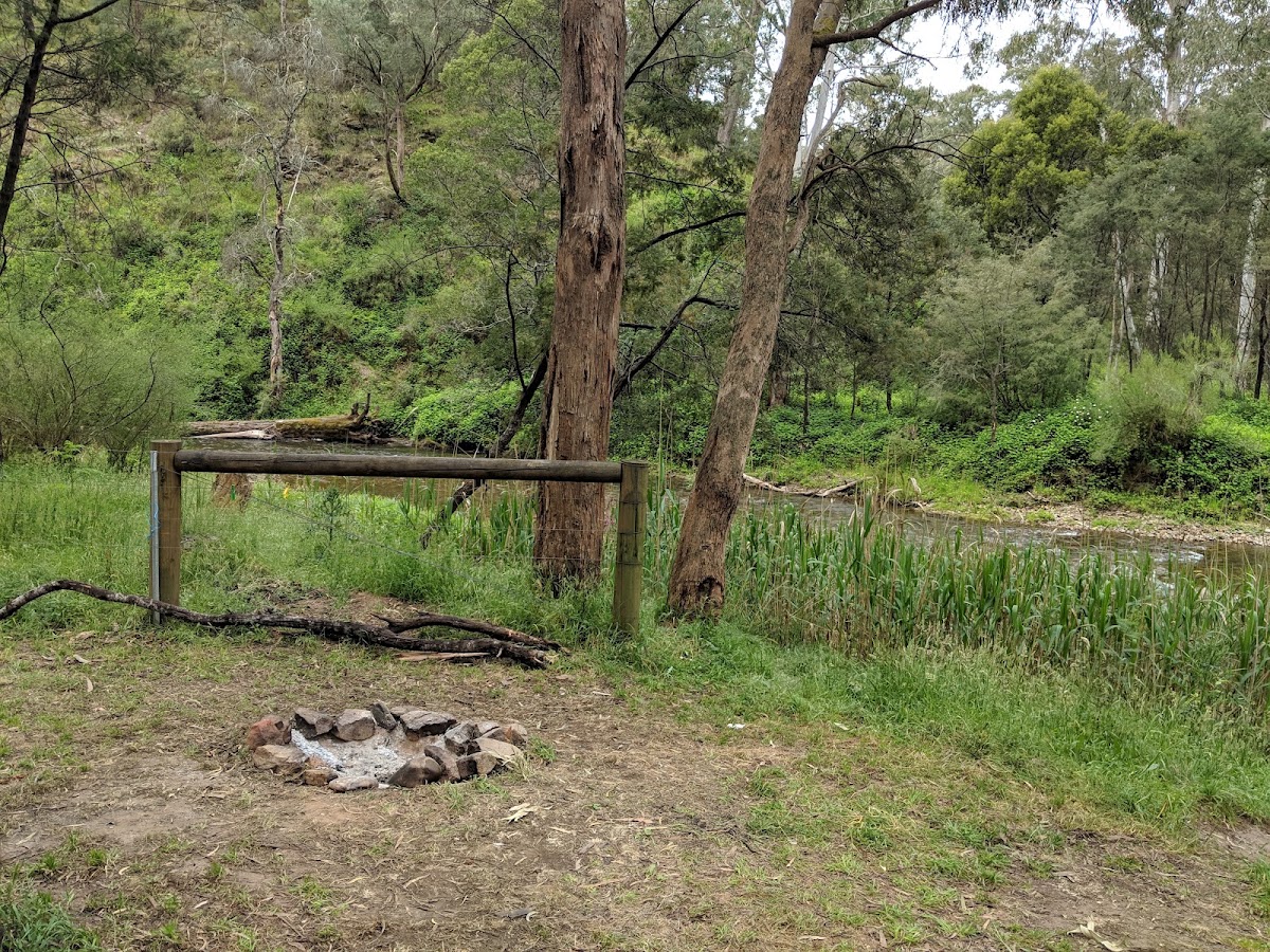 Upper Howqua Camping Area