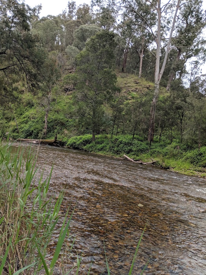 Upper Howqua Camping Area