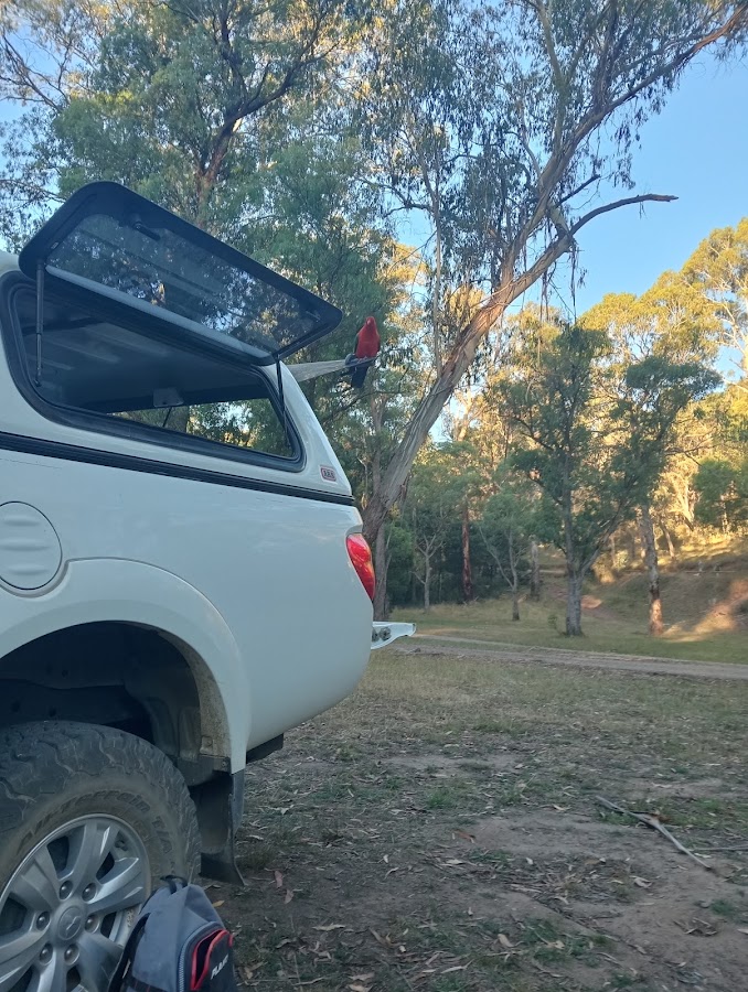 Upper Howqua Camping Area