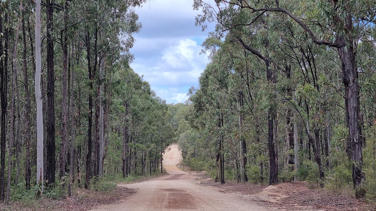 Werakata National Park