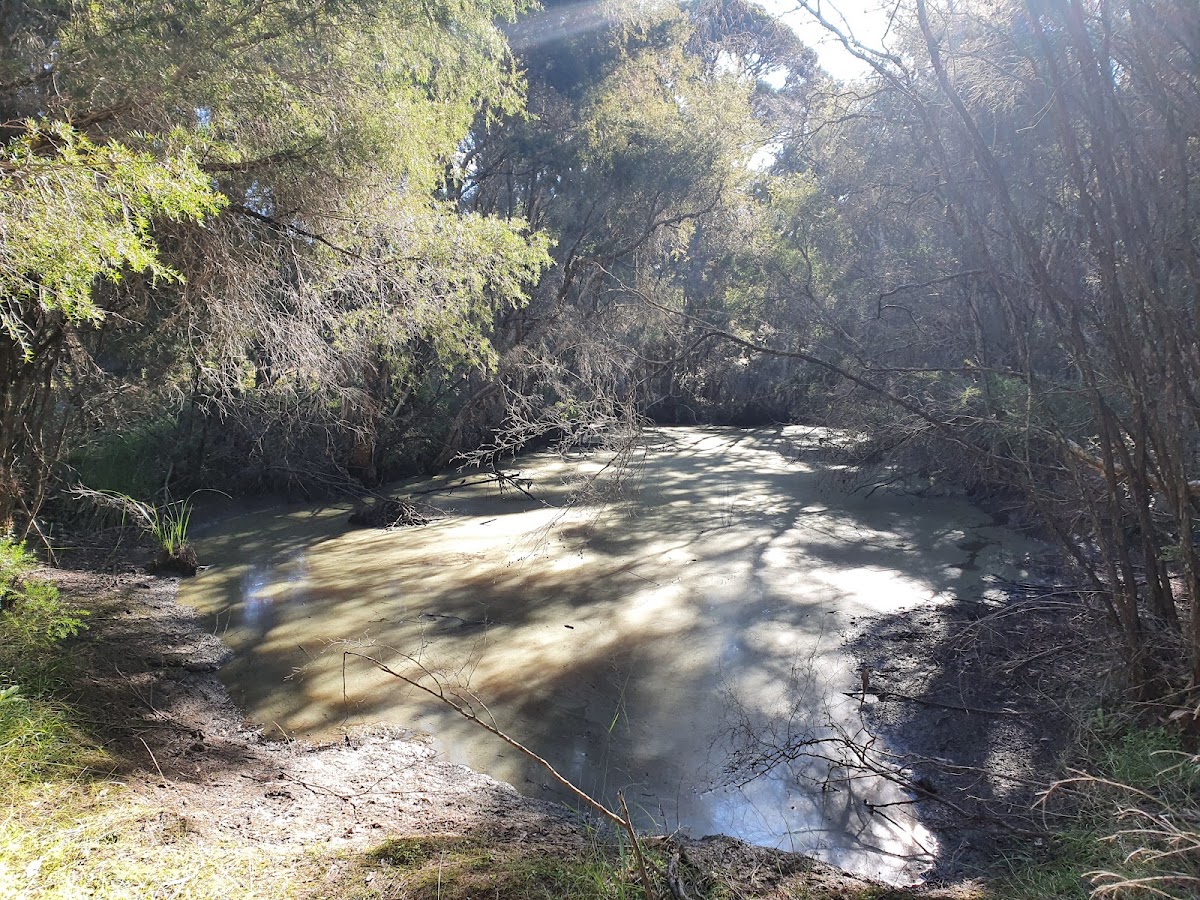 Werakata National Park