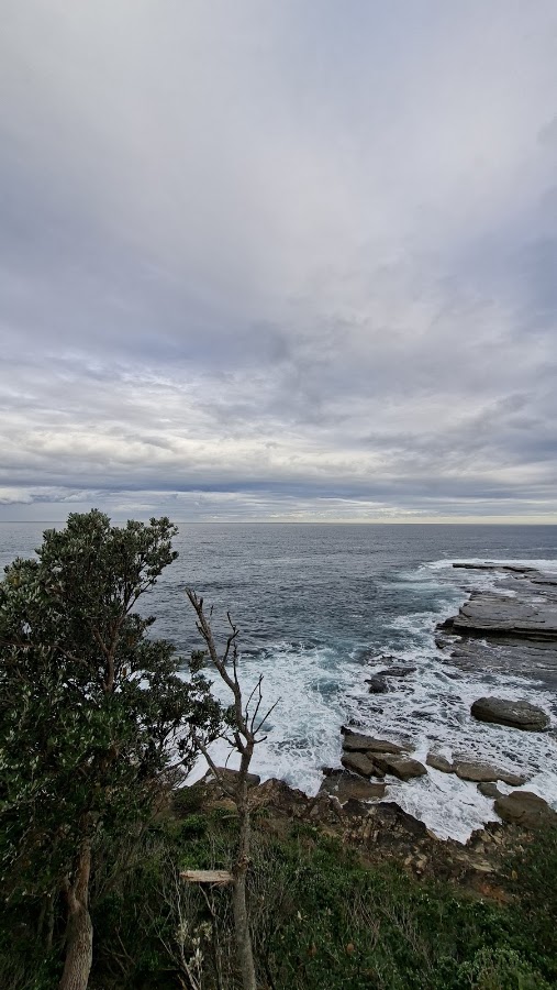 Terrigal Point Lookout