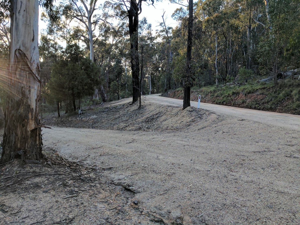 Mount Taylor