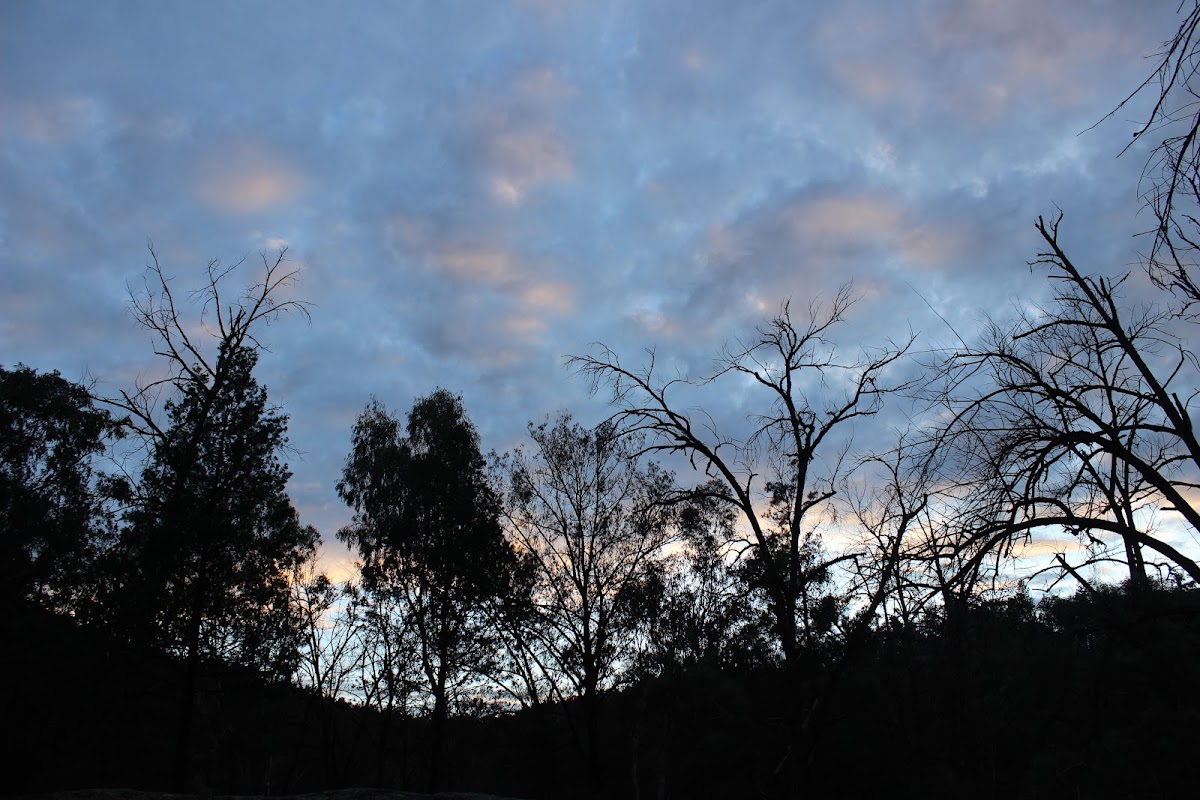 Warranmadhaa National Park