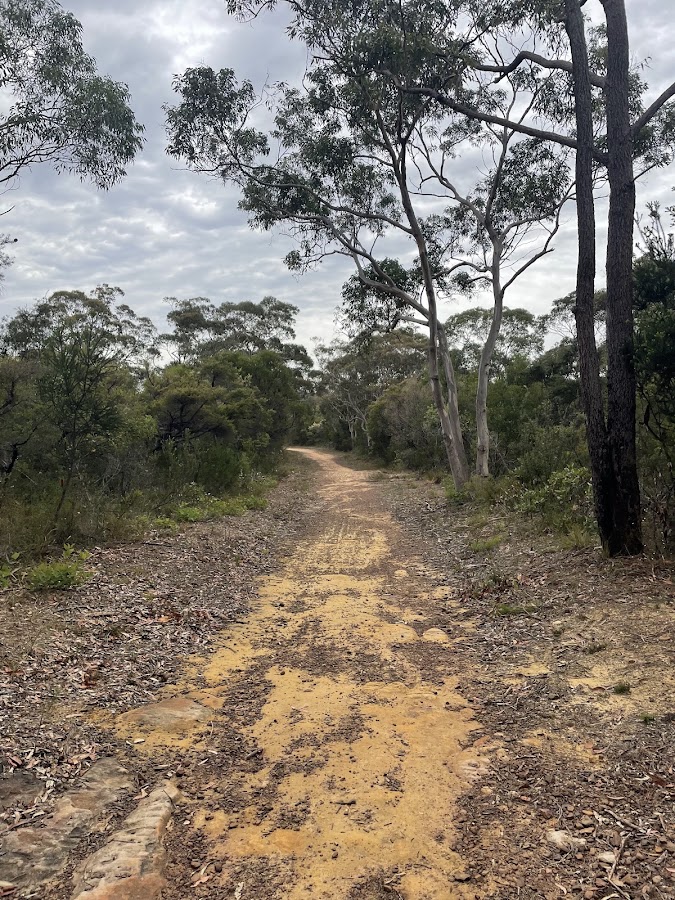 Tunks Ridge Campground