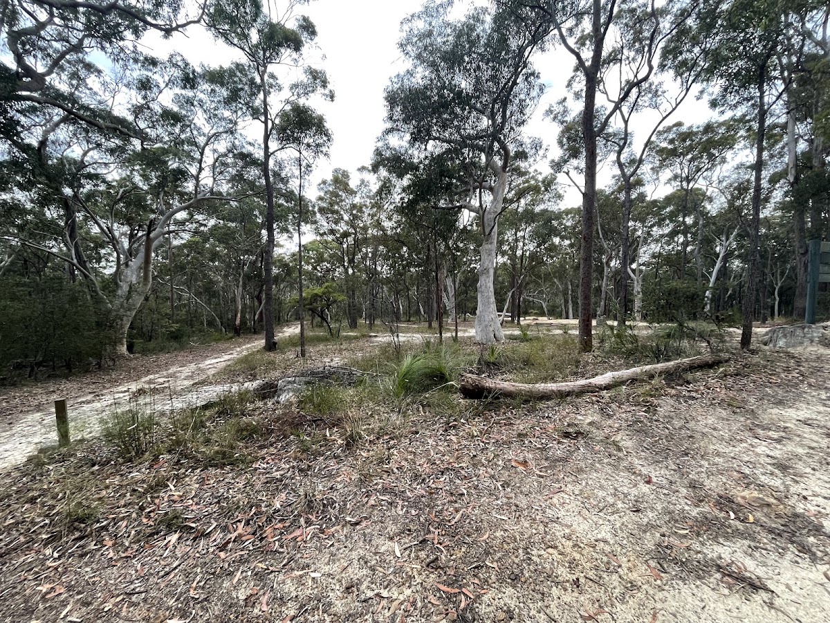 Tunks Ridge Campground