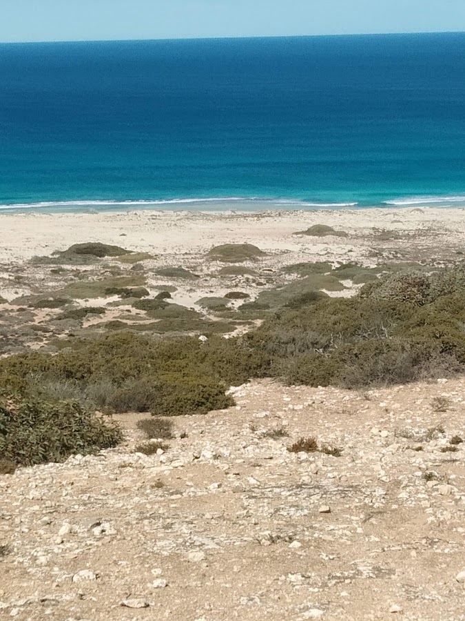 Eucla National Park