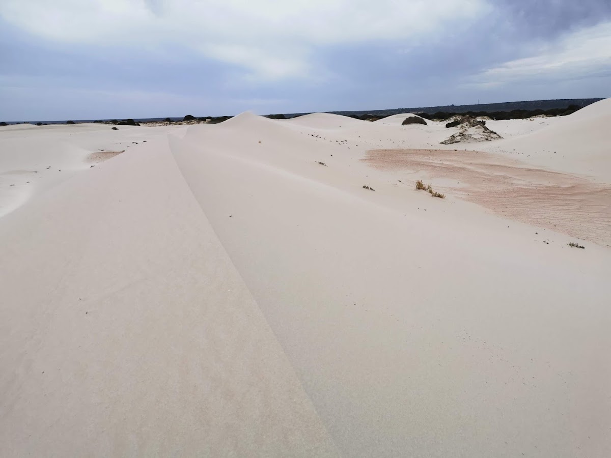 Eucla National Park