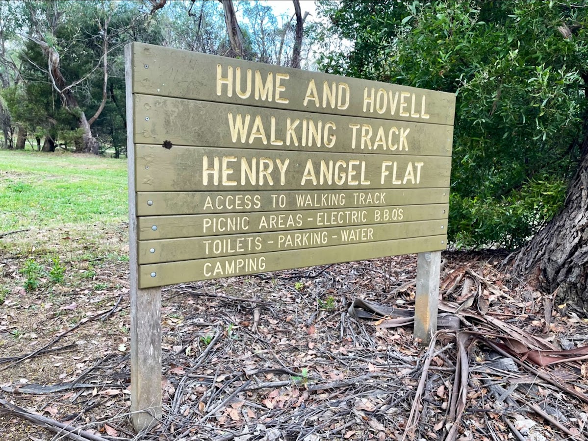Henry Angel Flat