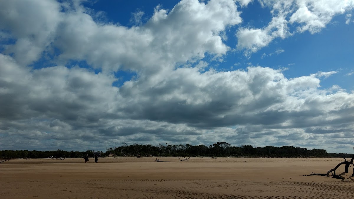 Mouth of Baffle Creek 1 Conservation Park