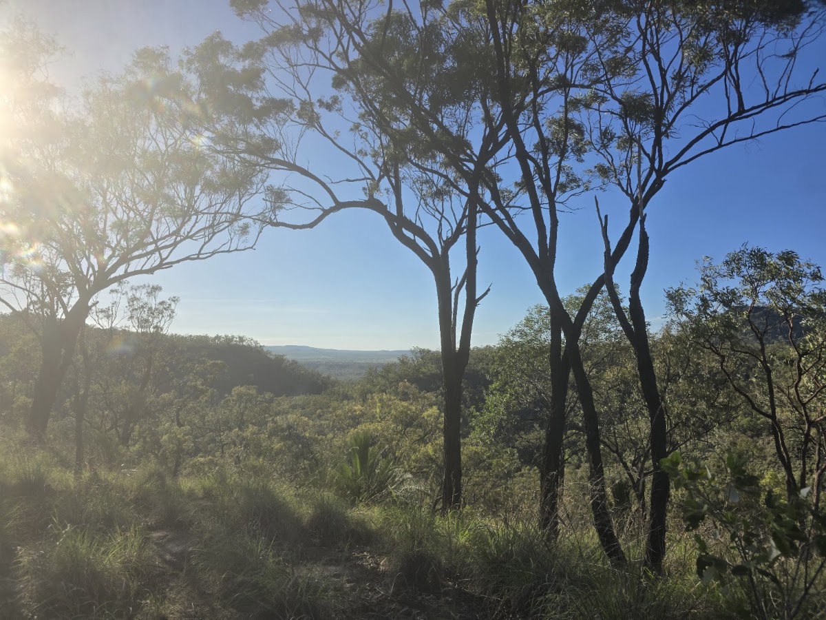 Skyline Lookouts