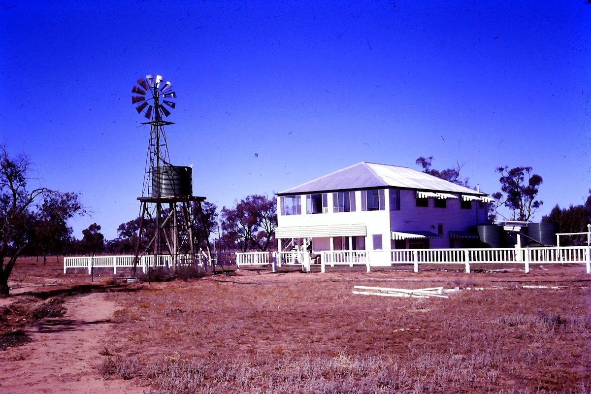 Nardoo Station