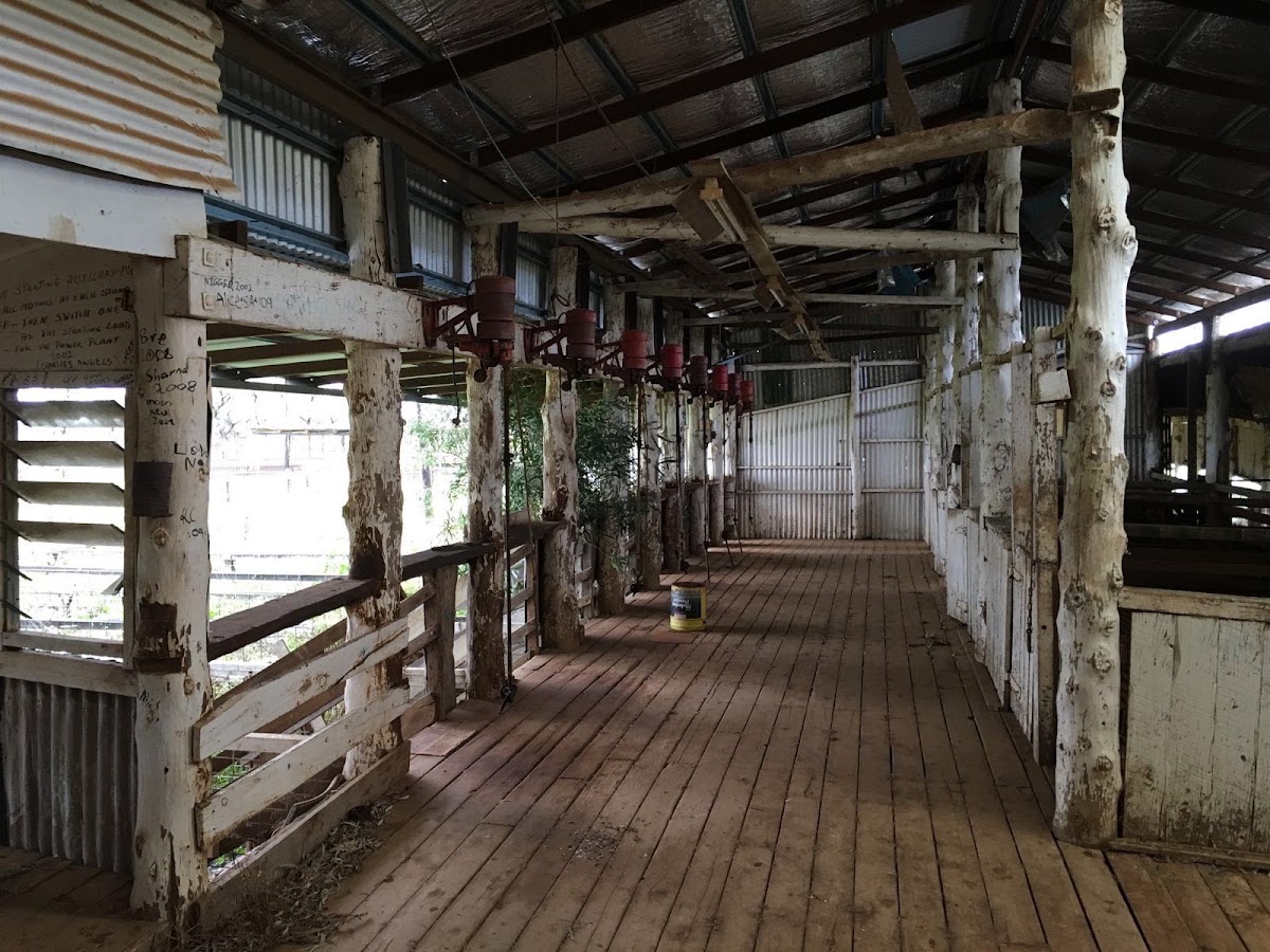 Nardoo Station
