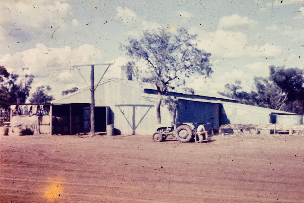 Nardoo Station