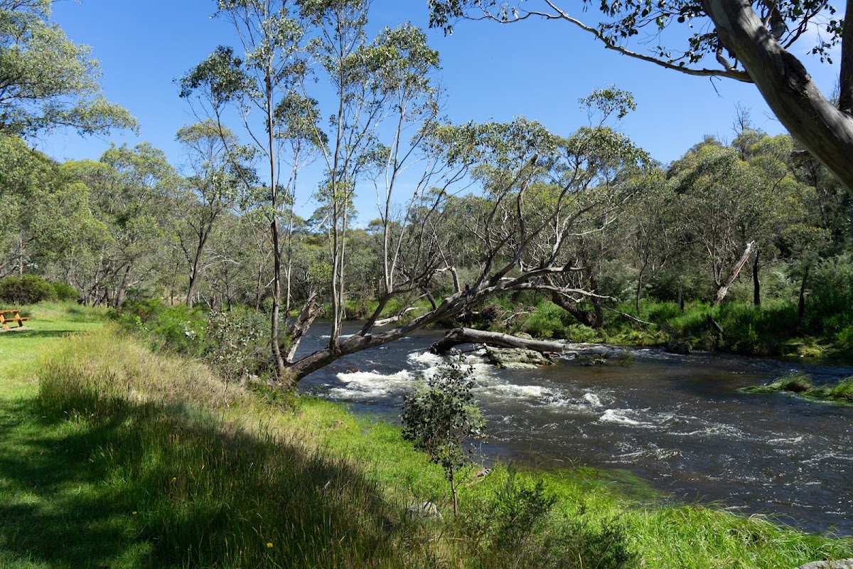 Anglers Rest Camping Area