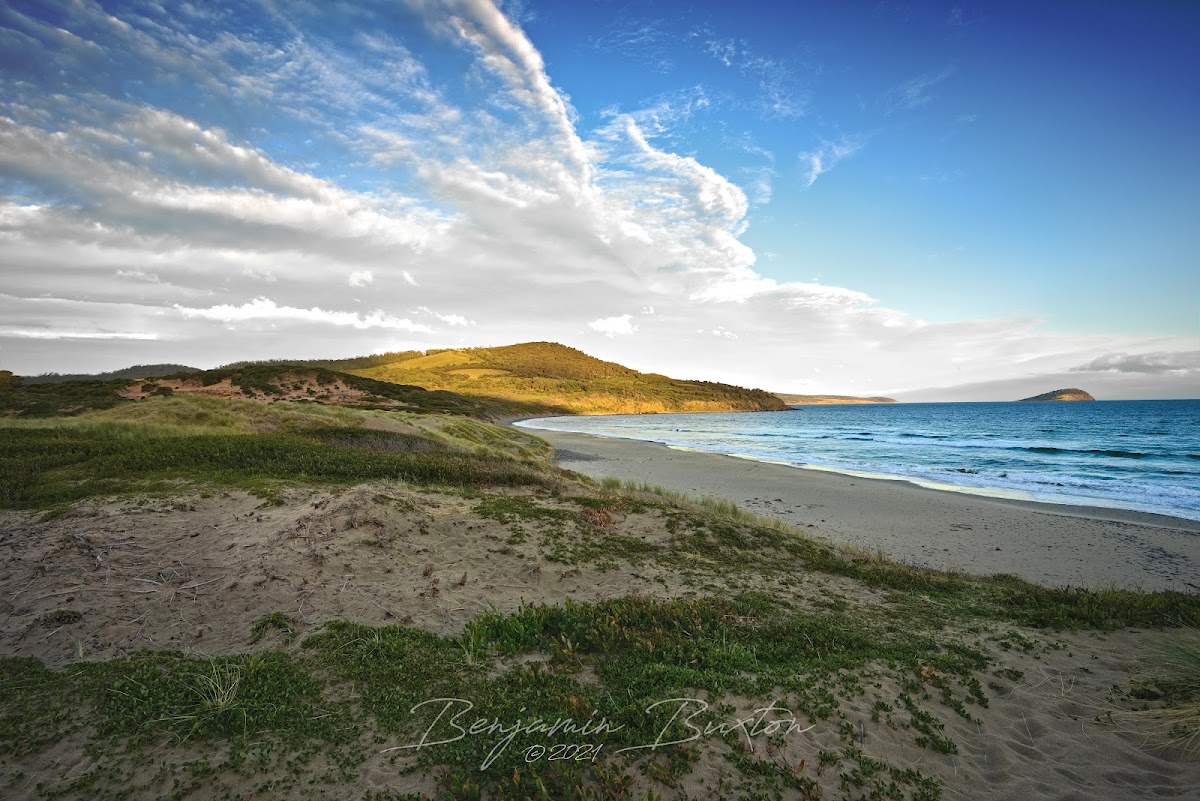 Roaring Beach