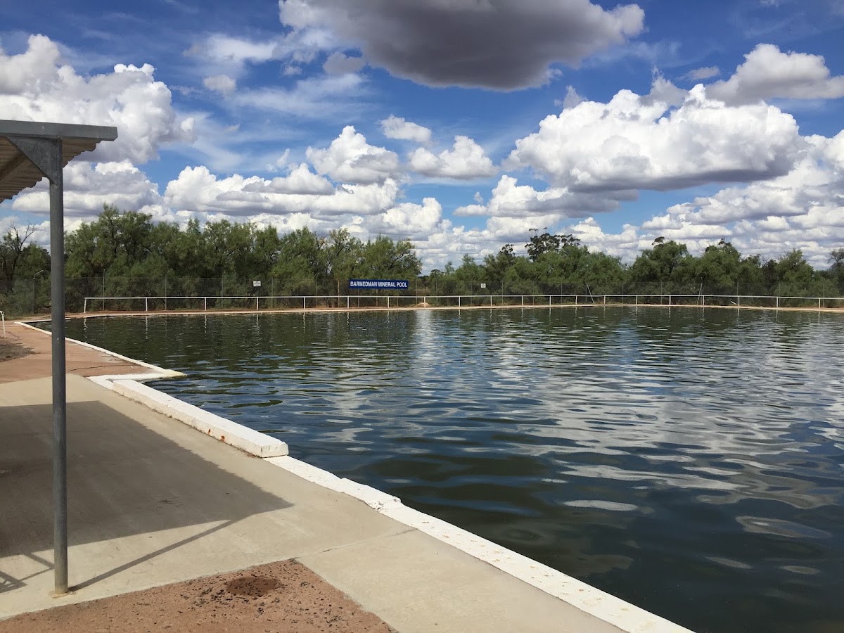 Barmedman Mineral Pool - south campsite