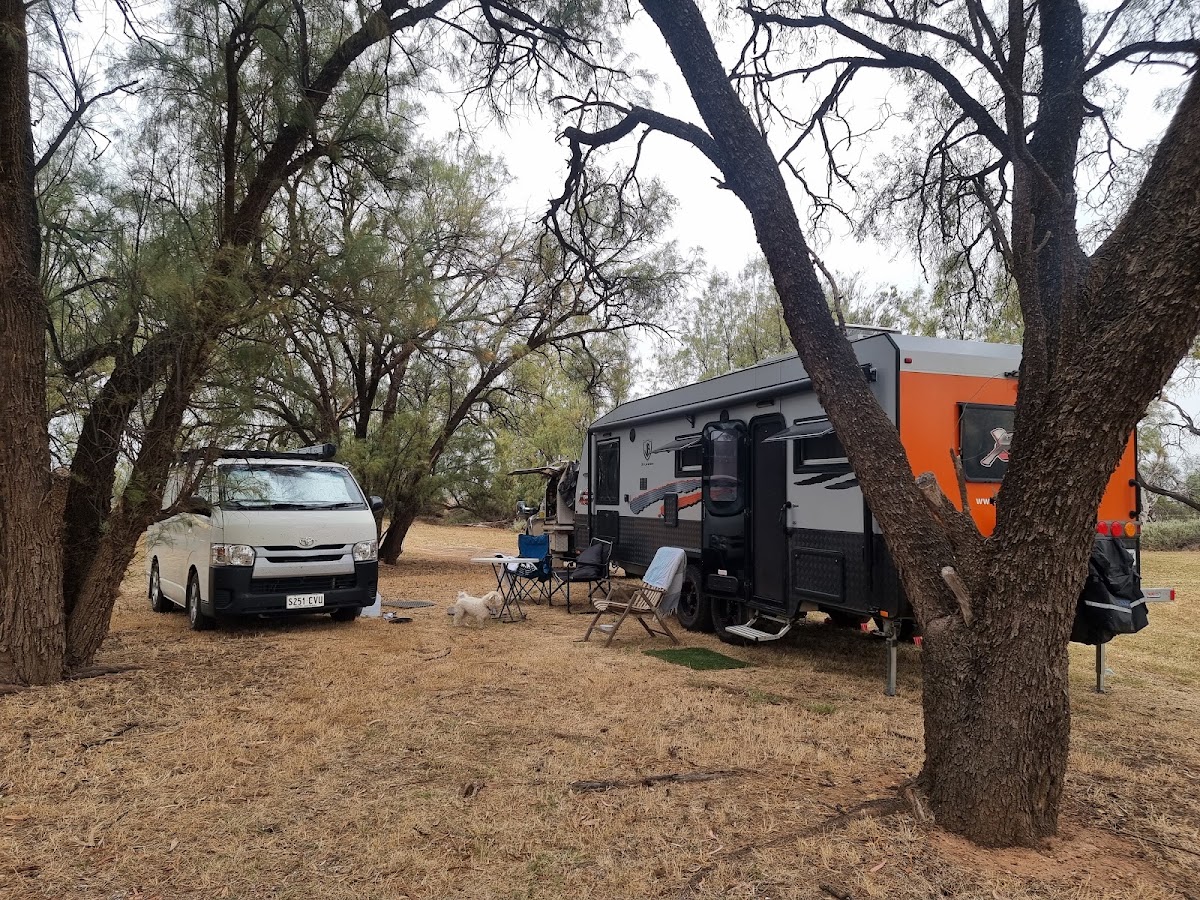 Barmedman Mineral Pool - south campsite