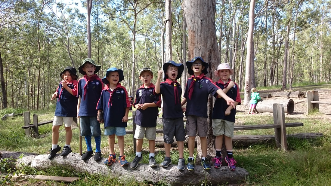 Cub Scout Glade