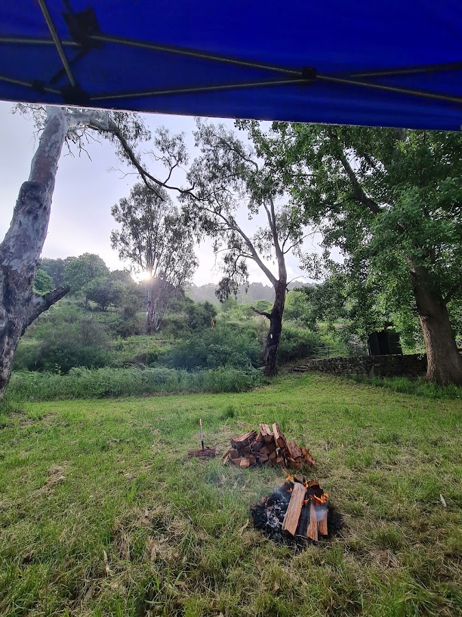 Pigs Point Reserve