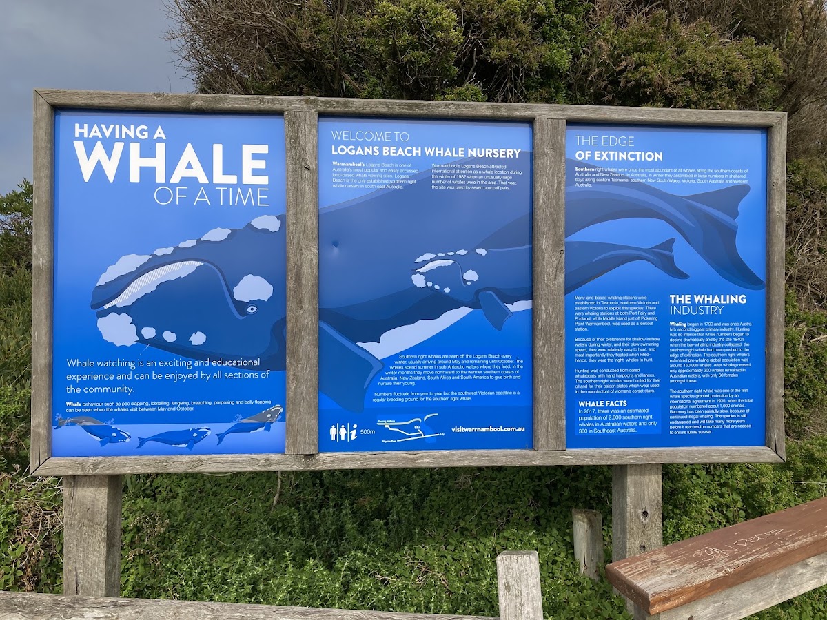 Logans Beach Whale Watching Platform
