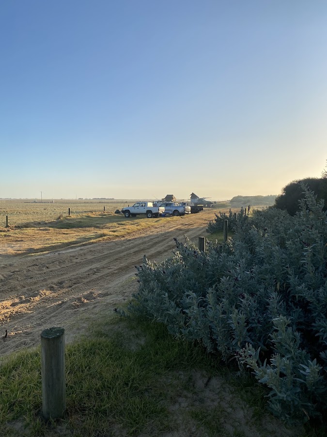 Mcgaurans Beach Dispersed camping