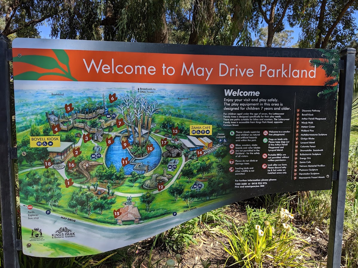 Free night park