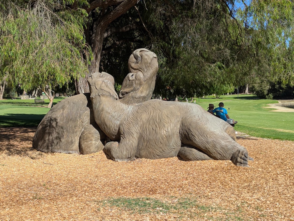 Free night park