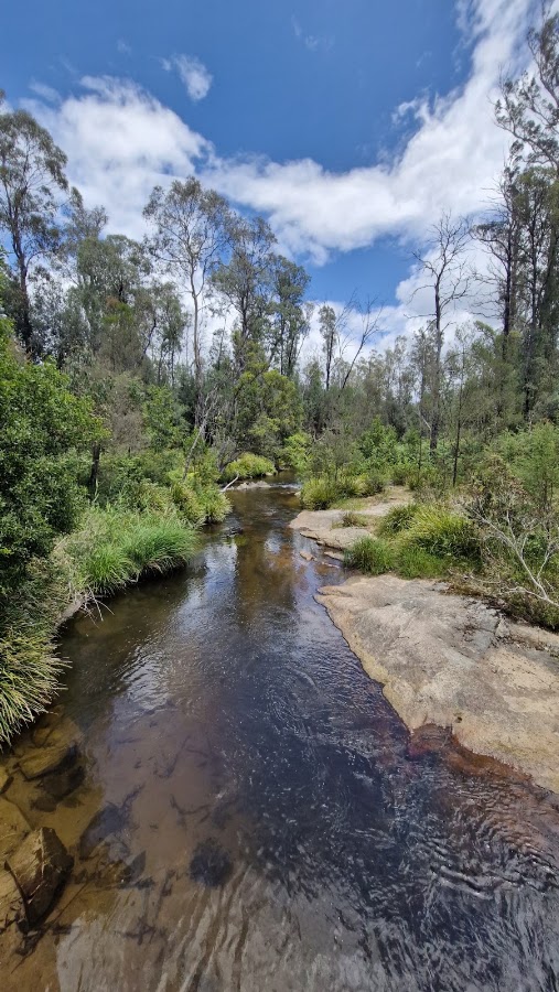 Goongerah Camping Area