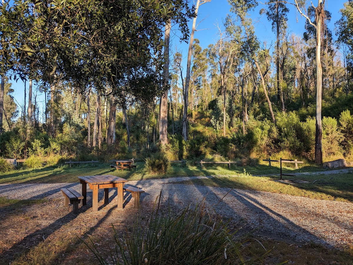 Goongerah Camping Area