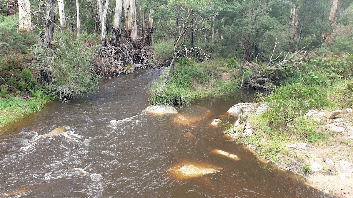 Goongerah Camping Area
