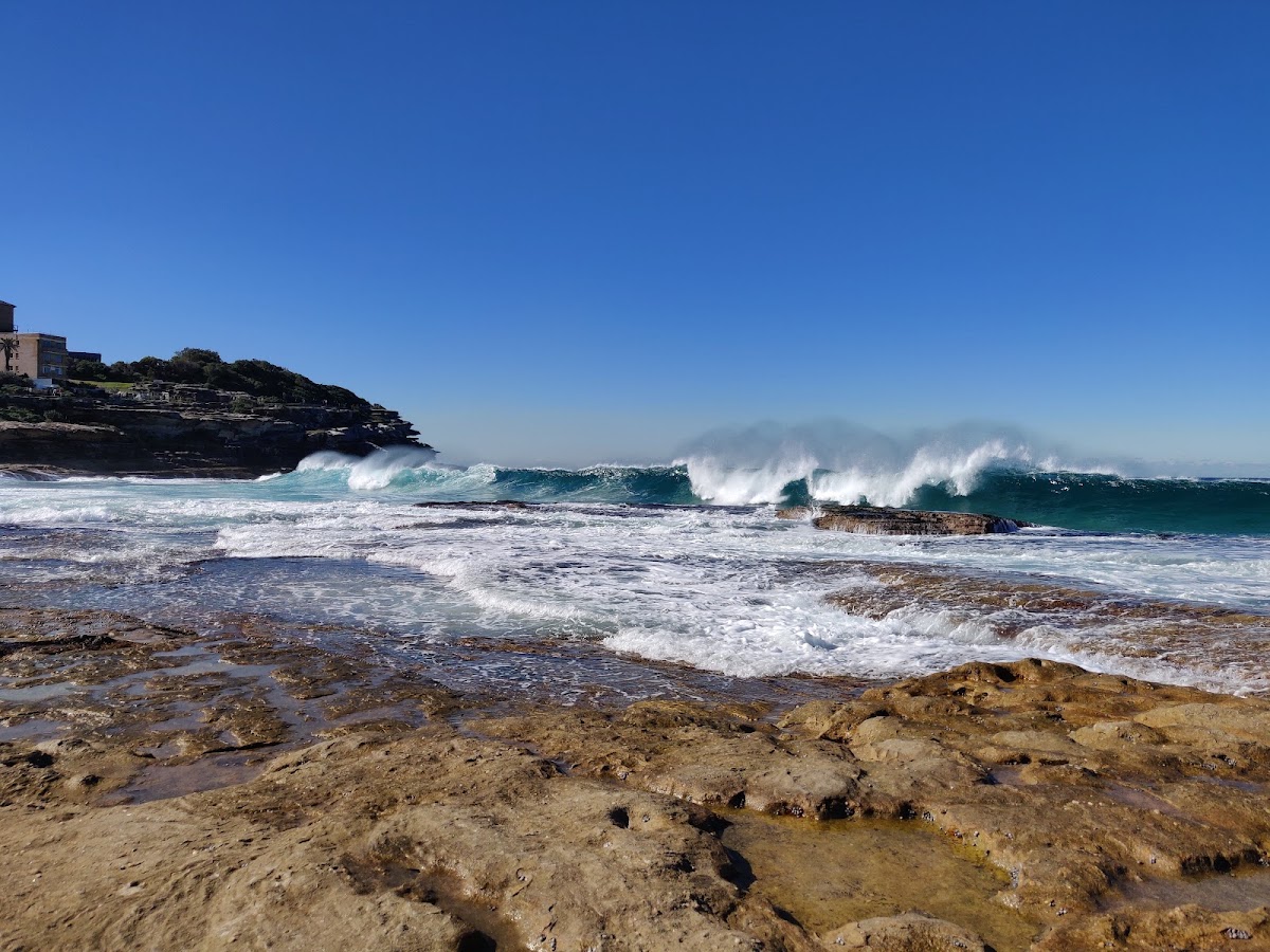 Tamarama Beach