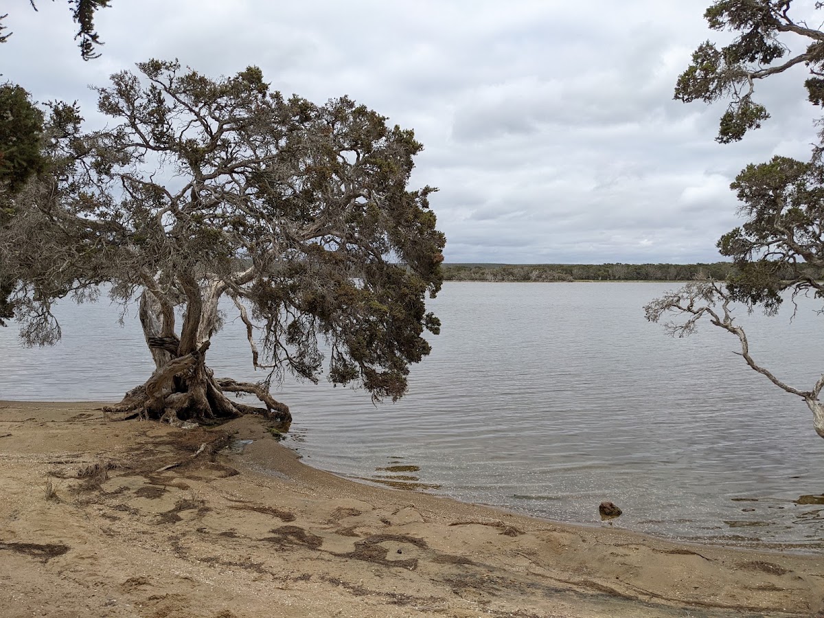 Millers Point Reserve