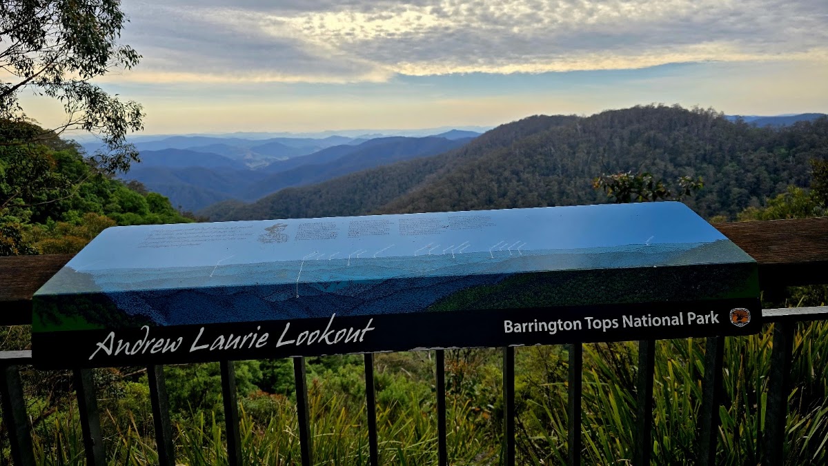 Andrew Laurie Lookout